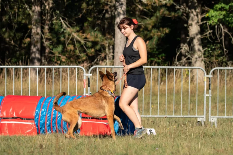 Tunnel-Cup - Édition 2025 - Canifun