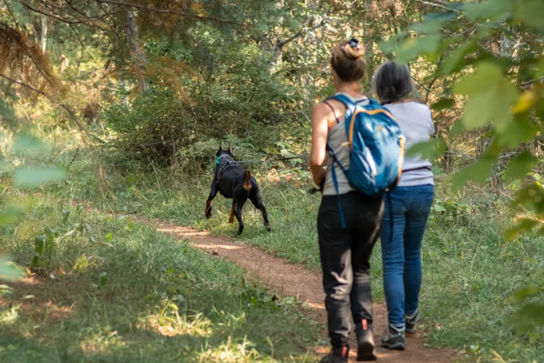 Mantrailing - Édition 2025 - Canifun