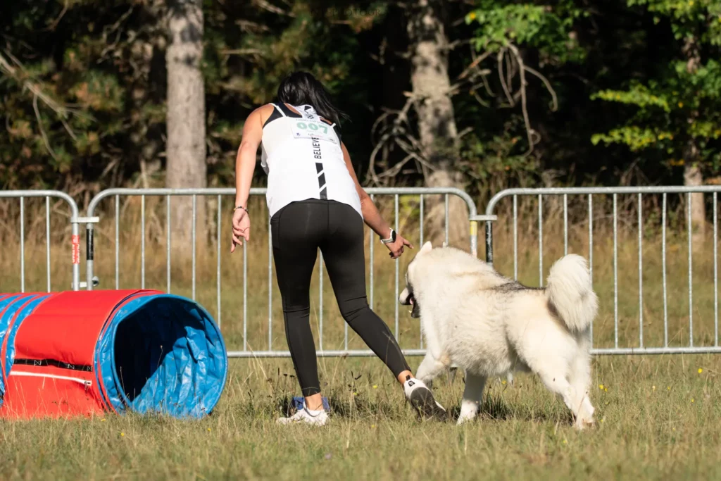 Tunnel-Cup - Édition 2025 - Canifun