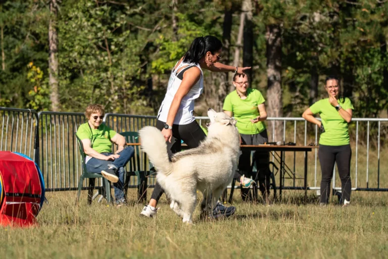 Tunnel-Cup - Édition 2025 - Canifun