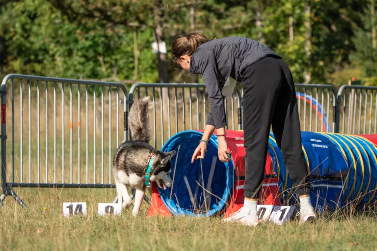 Tunnel-Cup - Édition 2025 - Canifun