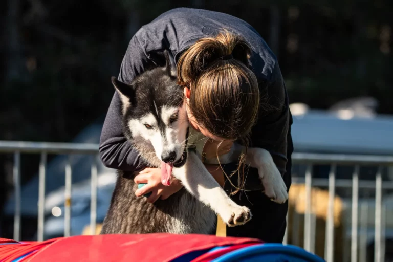 Tunnel-Cup - Édition 2025 - Canifun