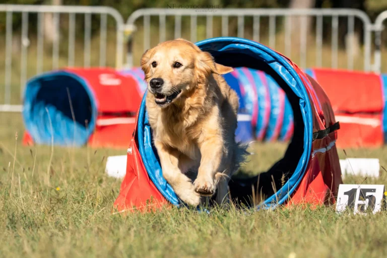 Tunnel-Cup - Édition 2025 - Canifun
