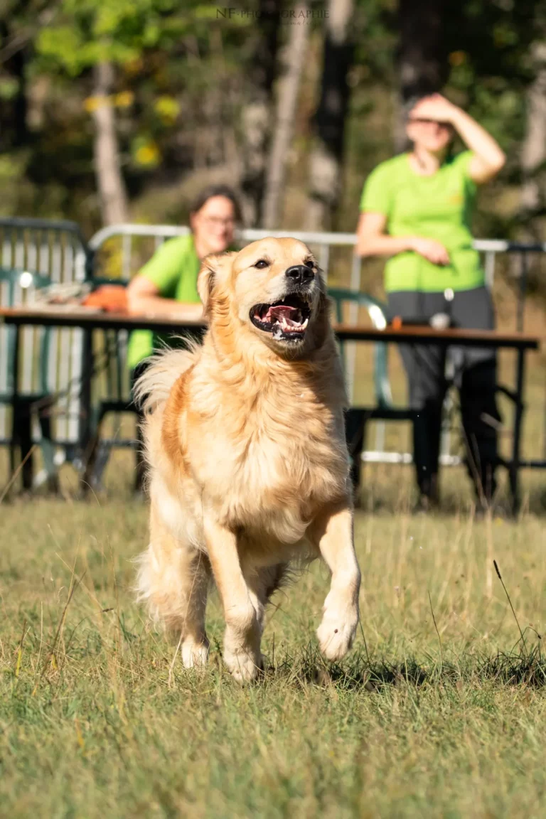 Tunnel-Cup - Édition 2025 - Canifun