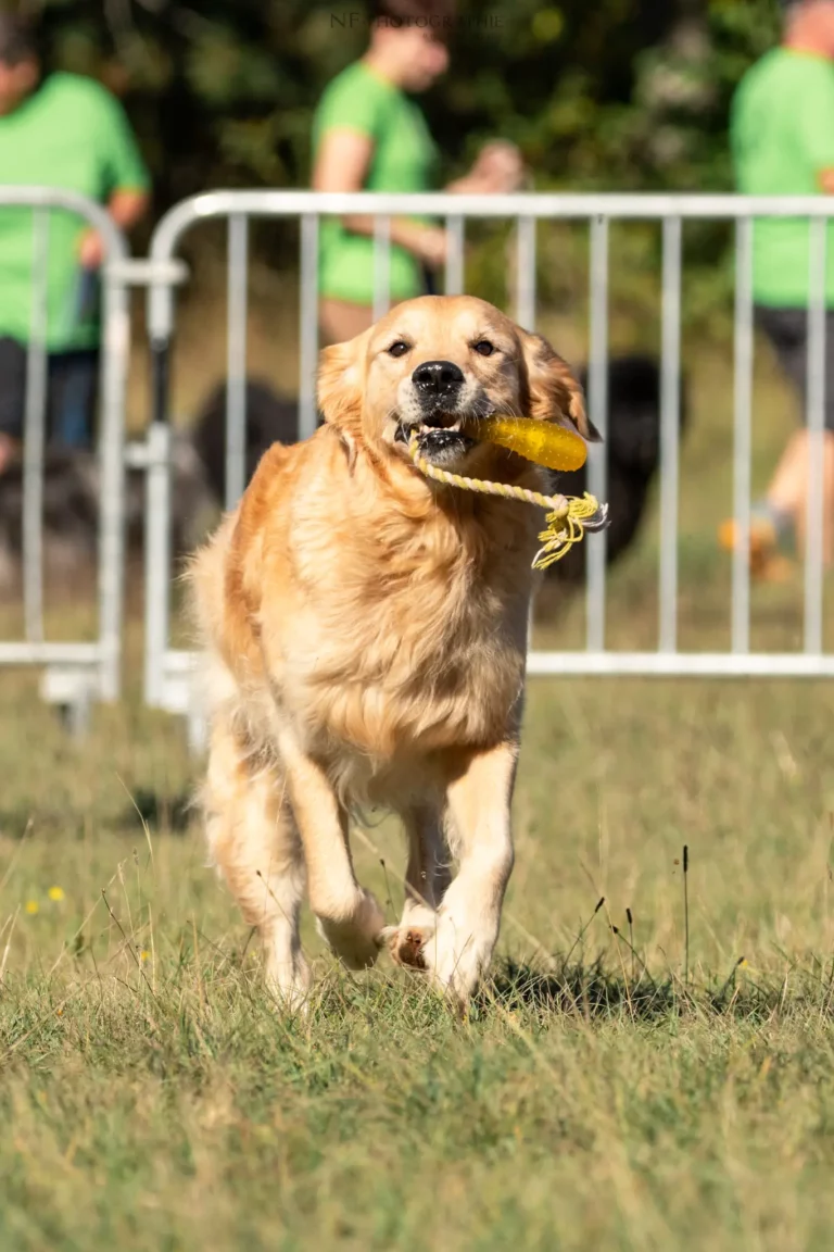 Tunnel-Cup - Édition 2025 - Canifun