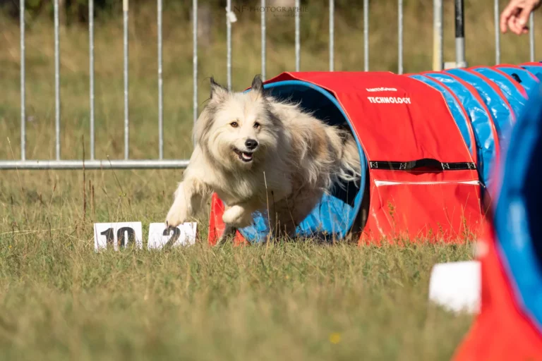 Tunnel-Cup - Édition 2025 - Canifun