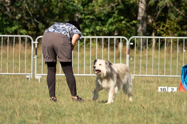 Tunnel-Cup - Édition 2025 - Canifun