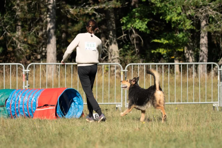 Tunnel-Cup - Édition 2025 - Canifun