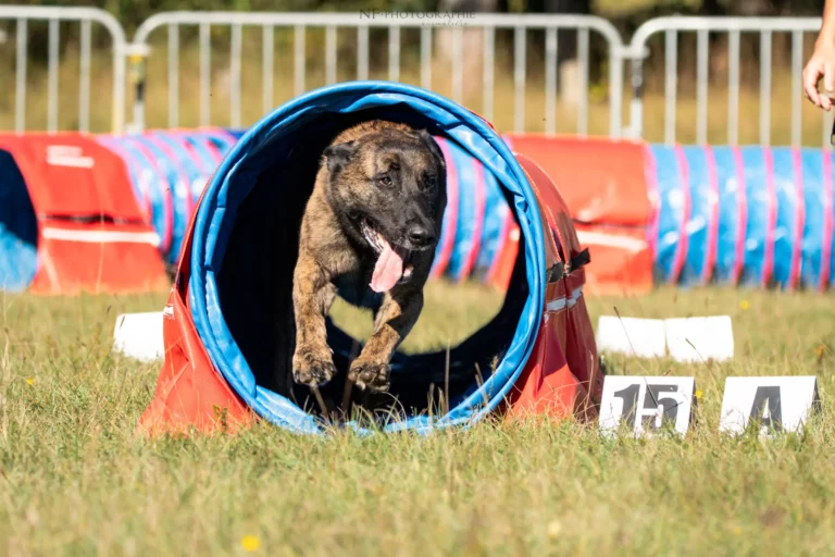 Tunnel-Cup - Édition 2025 - Canifun