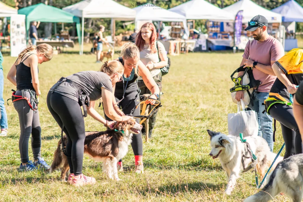 Cani-Cross - Édition 2025 - Canifun