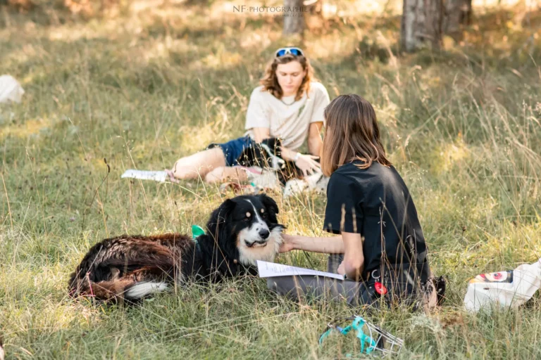 Massage Canin - Édition 2025 - Canifun