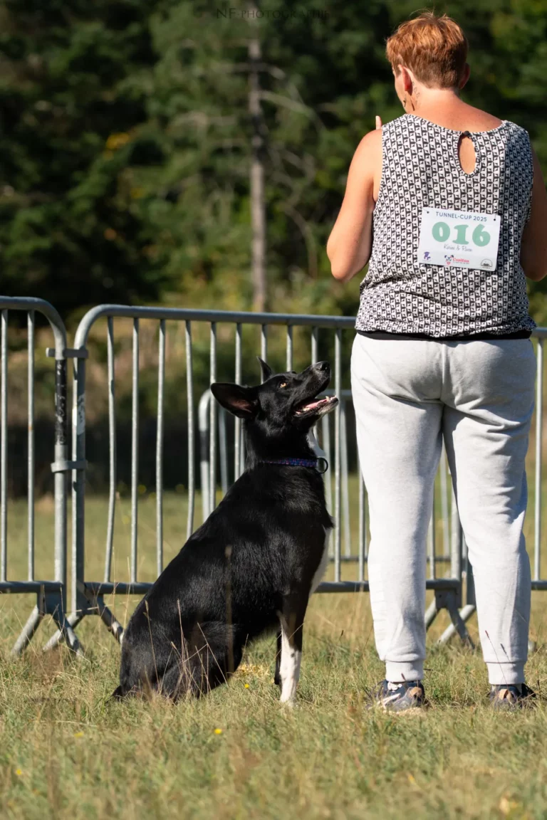 Tunnel-Cup - Édition 2025 - Canifun