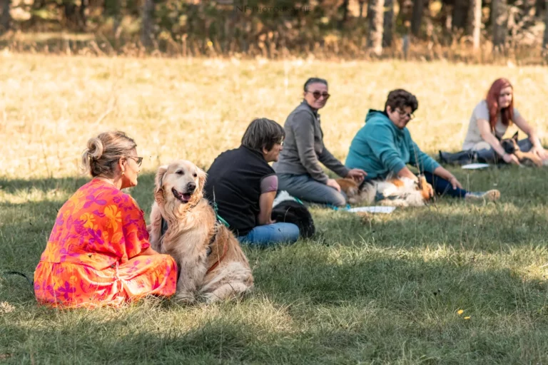 Massage Canin - Édition 2025 - Canifun