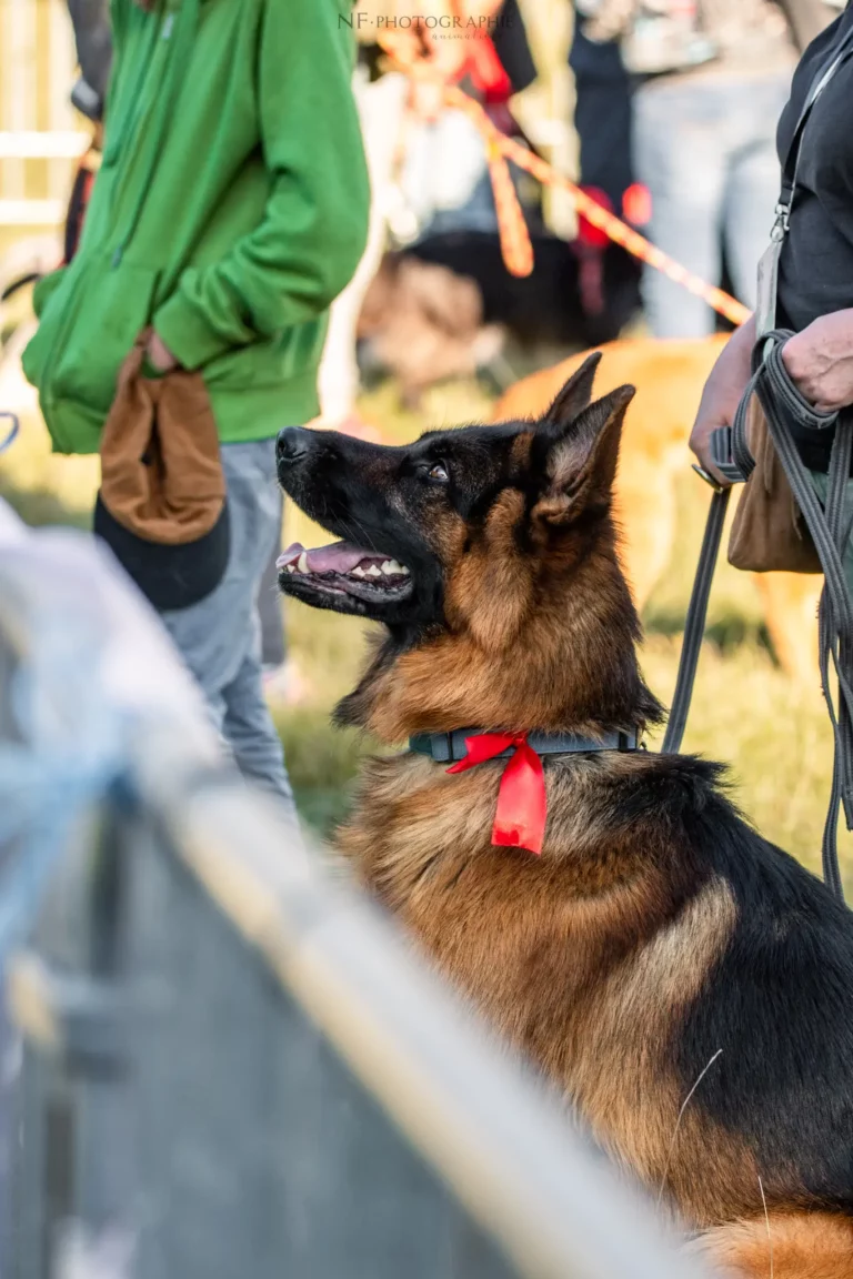 Village - Samedi - Édition 2025 - Canifun