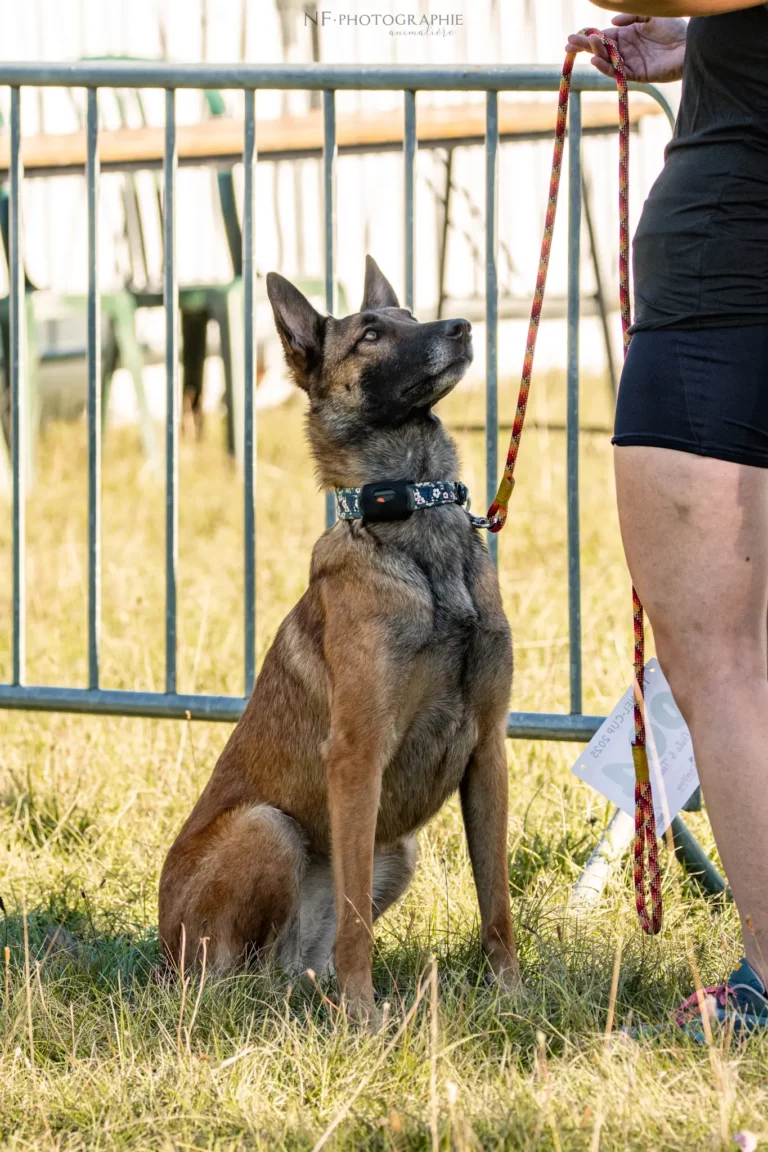 Village - Samedi - Édition 2025 - Canifun