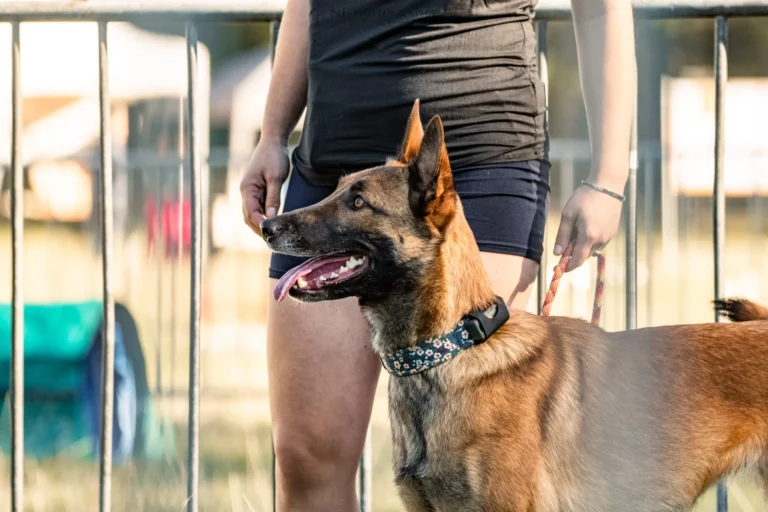 Village - Samedi - Édition 2025 - Canifun