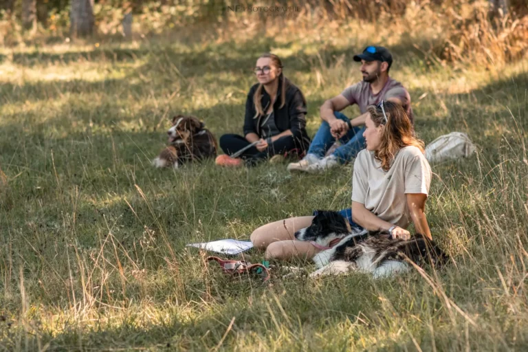 Massage Canin - Édition 2025 - Canifun