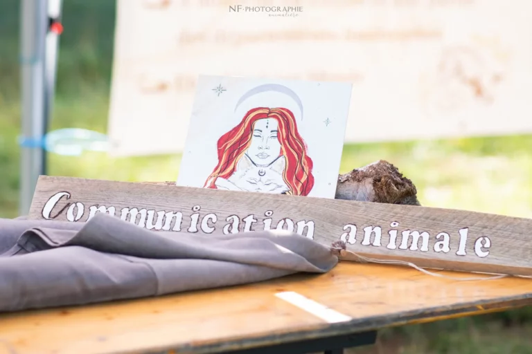 Village - Samedi - Édition 2025 - Canifun