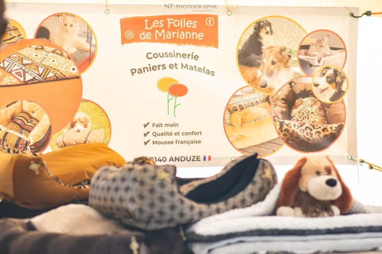 Village - Samedi - Édition 2025 - Canifun