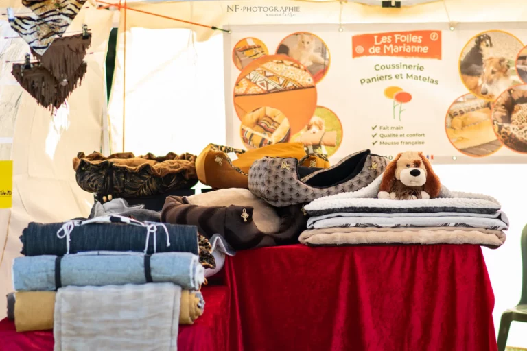 Village - Samedi - Édition 2025 - Canifun