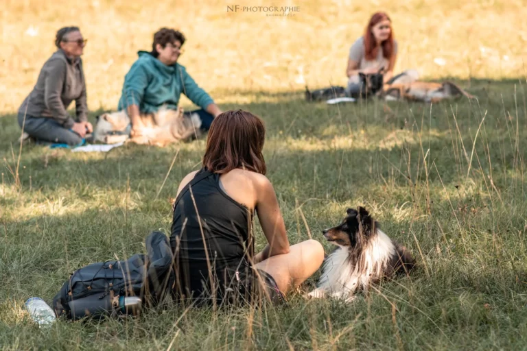 Massage Canin - Édition 2025 - Canifun