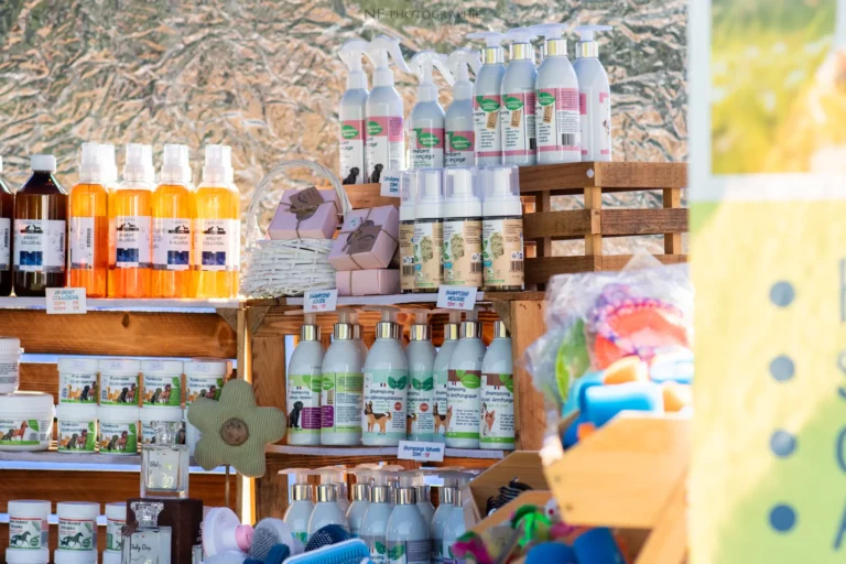 Village - Samedi - Édition 2025 - Canifun