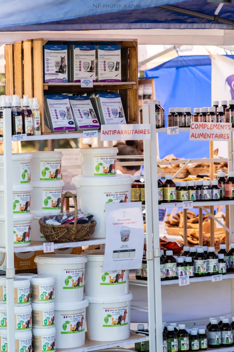 Village - Samedi - Édition 2025 - Canifun