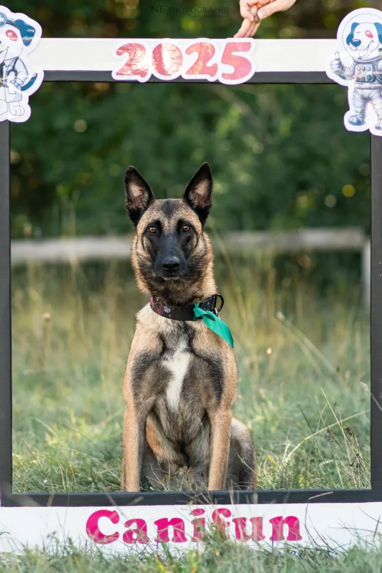 Village - Samedi - Édition 2025 - Canifun