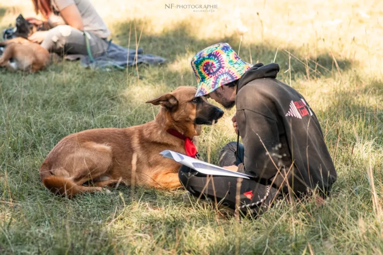 Massage Canin - Édition 2025 - Canifun