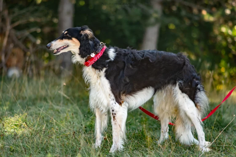 Village - Samedi - Édition 2025 - Canifun