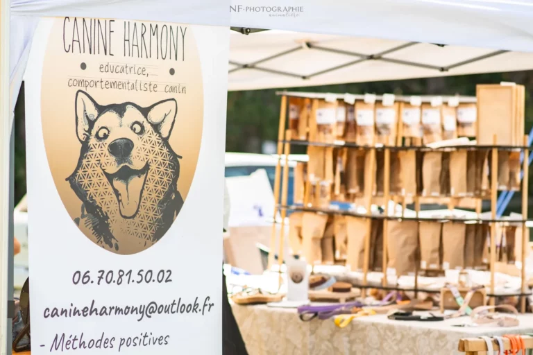 Village - Samedi - Édition 2025 - Canifun