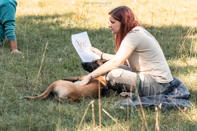 Massage Canin - Édition 2025 - Canifun