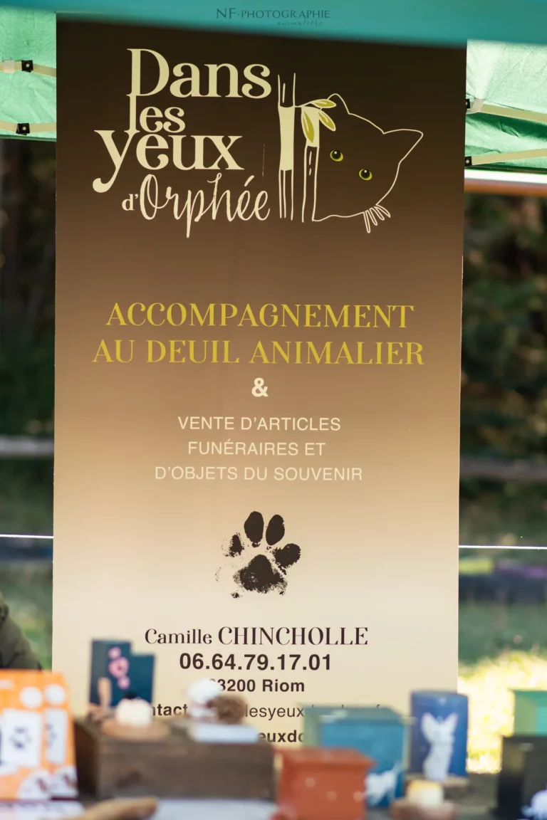 Village - Samedi - Édition 2025 - Canifun