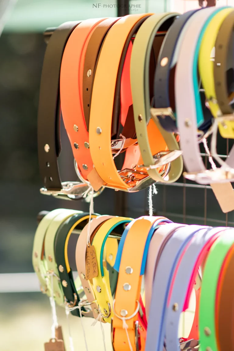 Village - Samedi - Édition 2025 - Canifun