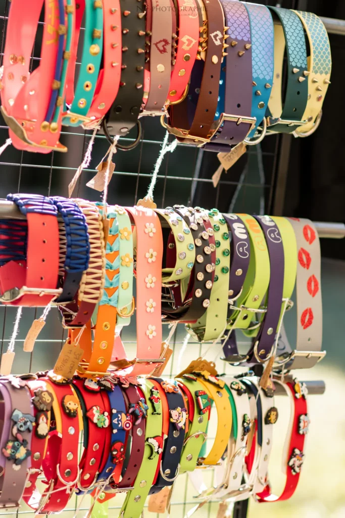 Village - Samedi - Édition 2025 - Canifun