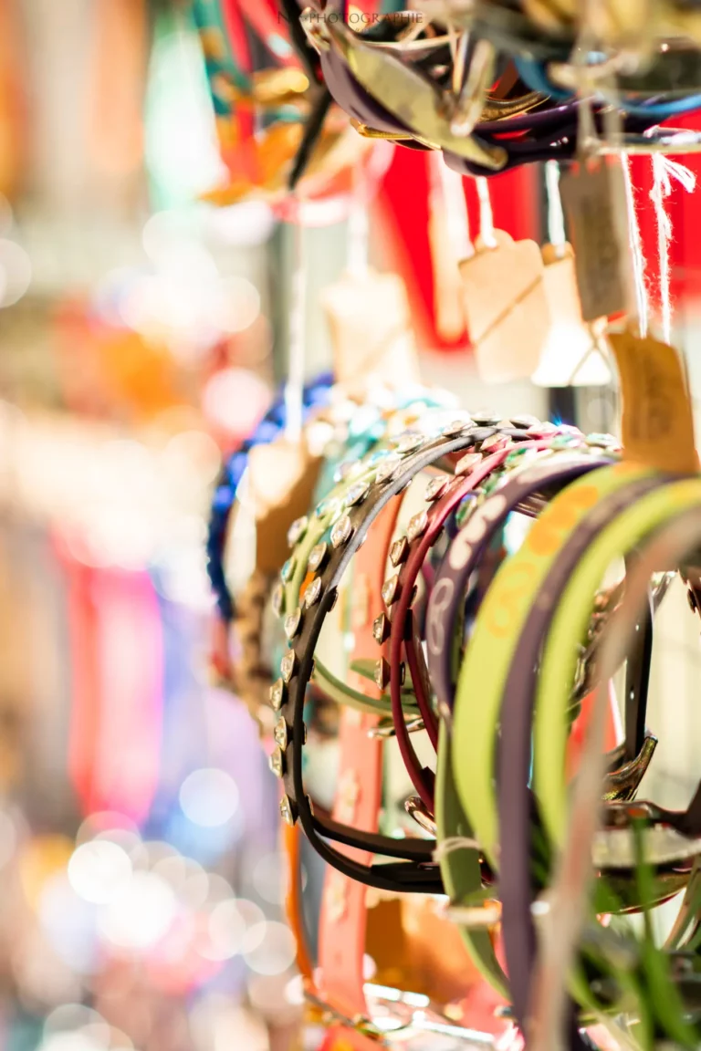 Village - Samedi - Édition 2025 - Canifun