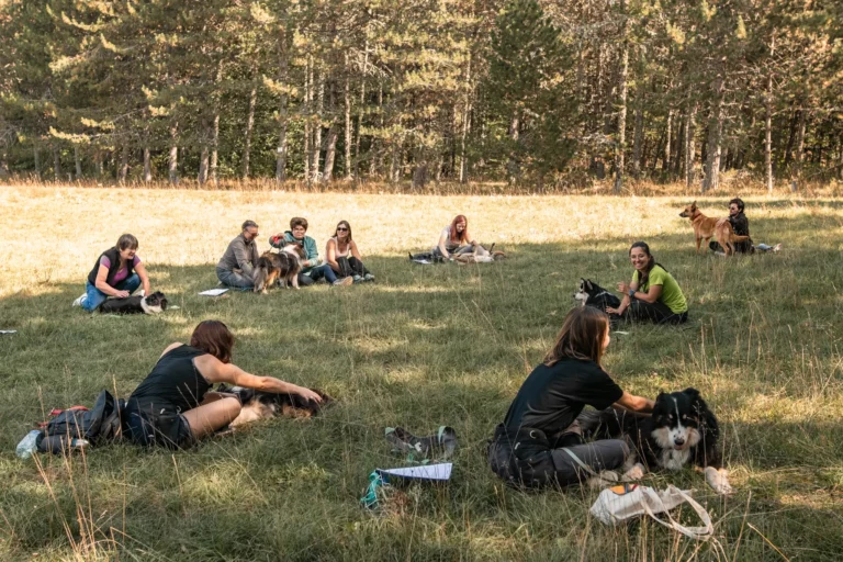 Massage Canin - Édition 2025 - Canifun