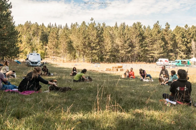 Massage Canin - Édition 2025 - Canifun