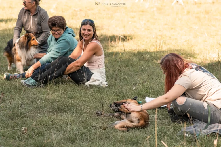 Massage Canin - Édition 2025 - Canifun