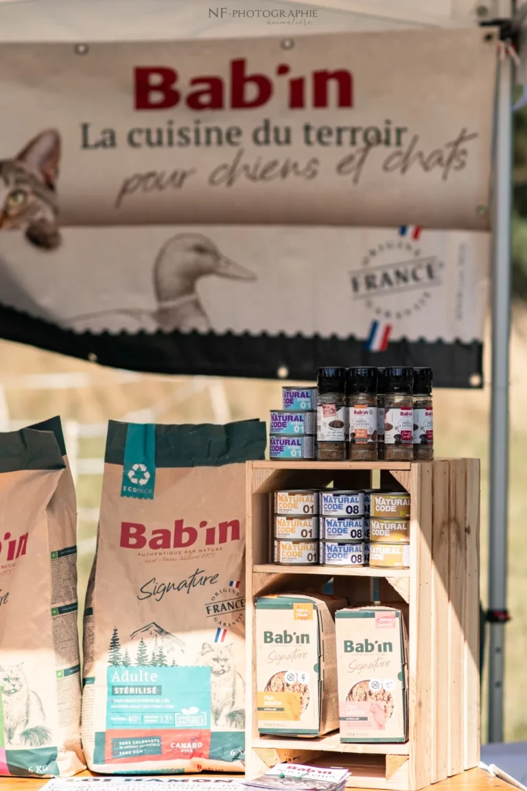 Village - Samedi - Édition 2025 - Canifun