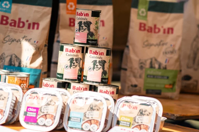 Village - Samedi - Édition 2025 - Canifun