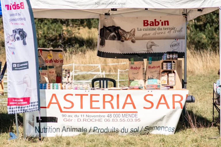 Village - Samedi - Édition 2025 - Canifun