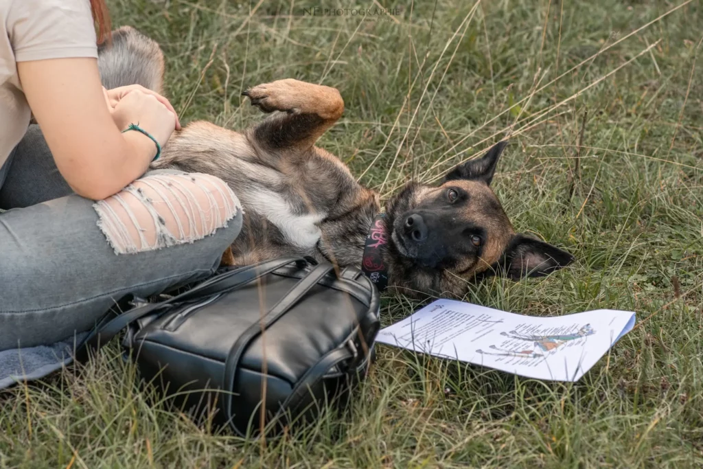 Massage Canin - Édition 2025 - Canifun