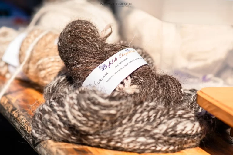 Village - Samedi - Édition 2025 - Canifun