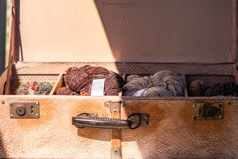 Village - Samedi - Édition 2025 - Canifun