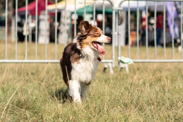Tunnels - Édition 2025 - Canifun