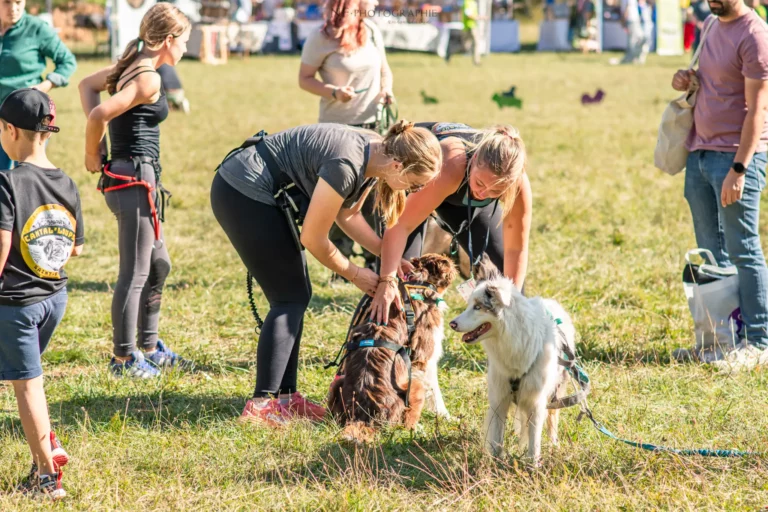 Cani-Cross - Édition 2025 - Canifun