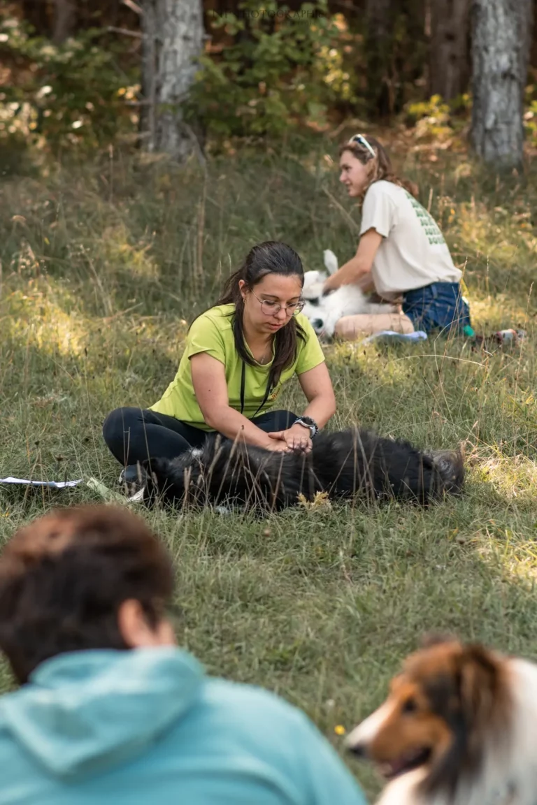 Massage Canin - Édition 2025 - Canifun