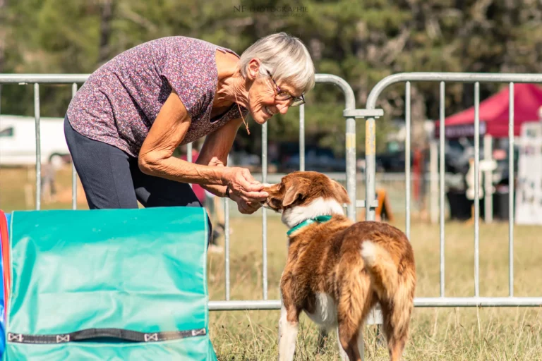 Tunnels - Édition 2025 - Canifun