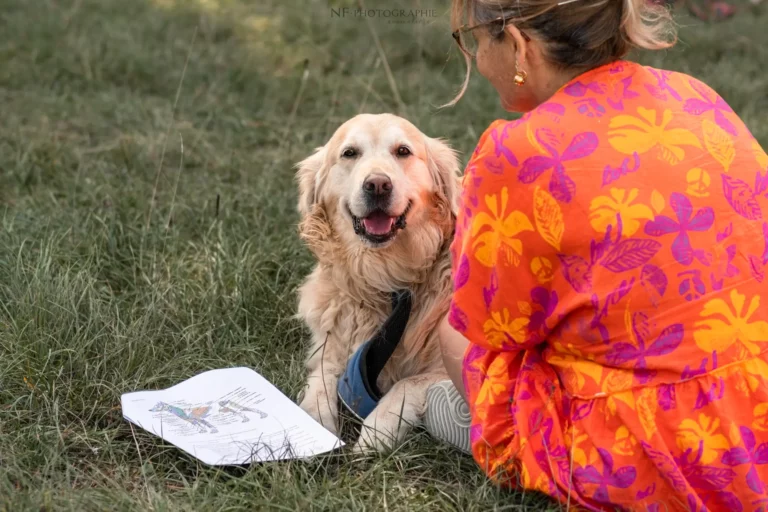 Massage Canin - Édition 2025 - Canifun